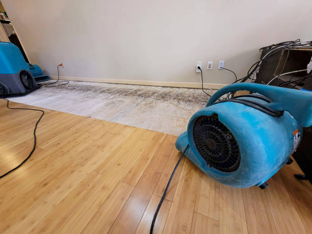 Professional Water Damage Repair technician working in Tuscarawas, OH